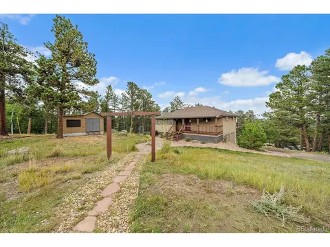 Exterior - 138 Fawn Dr, Bailey, CO 80421 photo 2 of 12