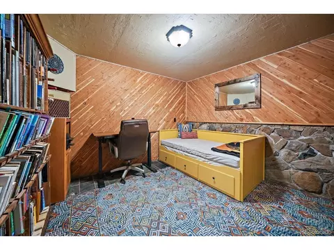 Other - 138 Fawn Dr, Bailey, CO 80421 photo 8 of 16