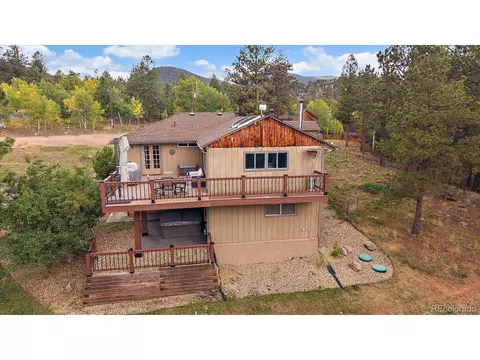 Other - 138 Fawn Dr, Bailey, CO 80421 photo 10 of 16