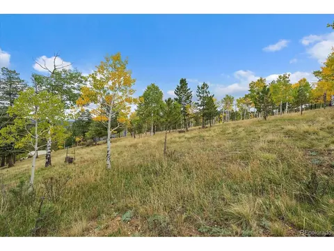 Exterior - 138 Fawn Dr, Bailey, CO 80421 photo 12 of 12