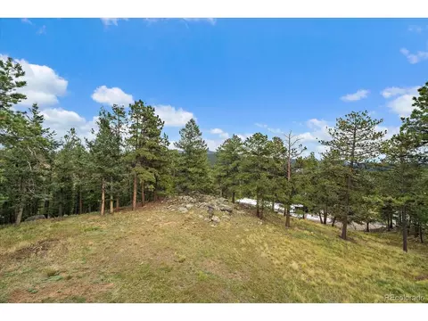 Exterior - 138 Fawn Dr, Bailey, CO 80421 photo 9 of 12