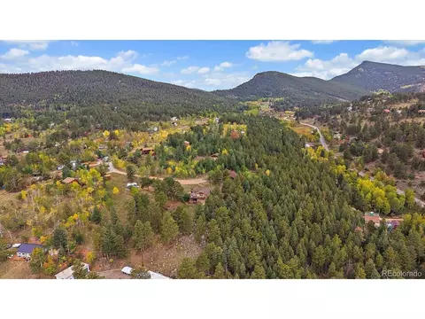 View/Area - 138 Fawn Dr, Bailey, CO 80421 photo 5 of 5