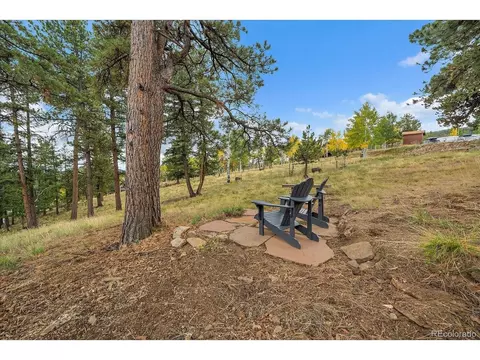 Exterior - 138 Fawn Dr, Bailey, CO 80421 photo 10 of 12