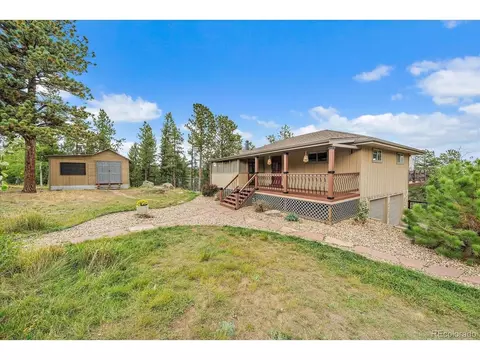 Other - 138 Fawn Dr, Bailey, CO 80421 photo 4 of 16