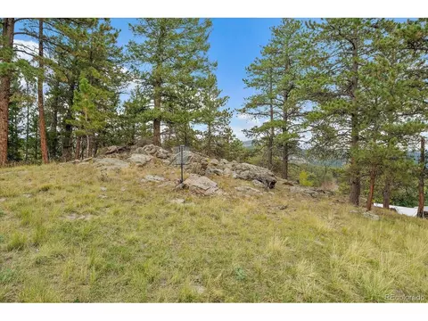 Exterior - 138 Fawn Dr, Bailey, CO 80421 photo 11 of 12