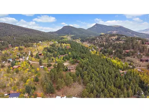 View/Area - 138 Fawn Dr, Bailey, CO 80421 photo 4 of 5