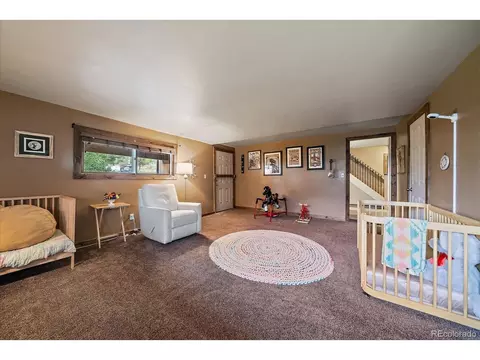 Other - 138 Fawn Dr, Bailey, CO 80421 photo 7 of 16