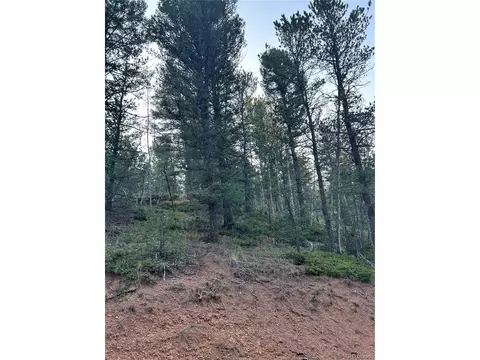 83 Sodalite Rd, Divide, CO 80814