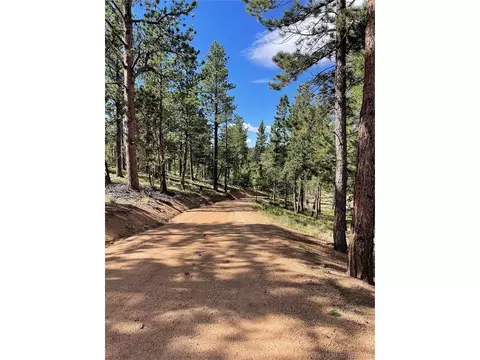 464 Saddleback Creek Dr, Florissant, CO 80816