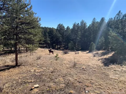 12999 S Parker Ave, Pine, CO 80470 photo 37