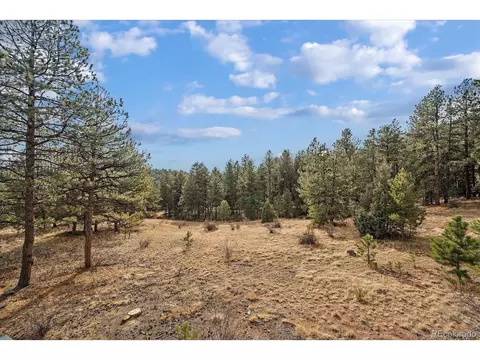 12999 S Parker Ave, Pine, CO 80470 photo 28