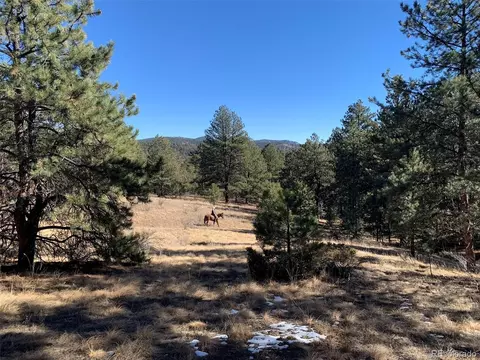 12999 S Parker Ave, Pine, CO 80470 photo 4