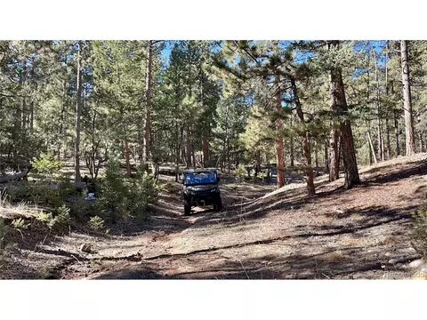 12999 S Parker Ave, Pine, CO 80470 photo 36