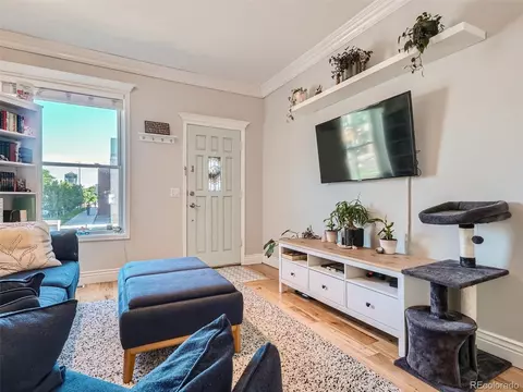339 E 7th Ave, Denver, CO 80203 photo 6