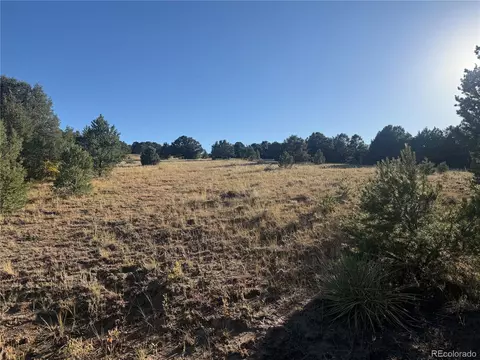 Undisclosed, Cotopaxi, CO 81223 photo 5