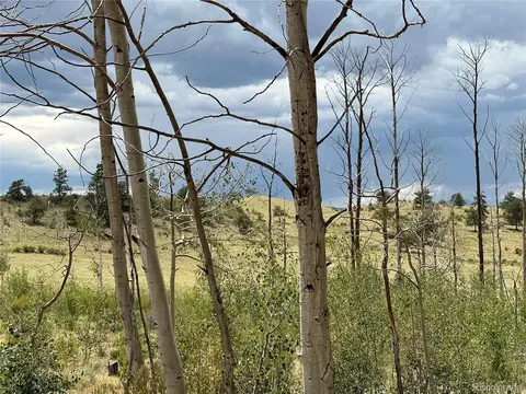 Uintah Trl, Hartsel, CO 80449 photo 4