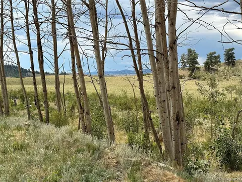 Uintah Trl, Hartsel, CO 80449 photo 5