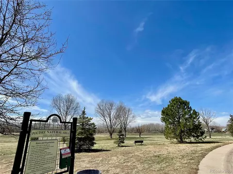 1049 Larch Dr, Windsor, CO 80550 photo 35