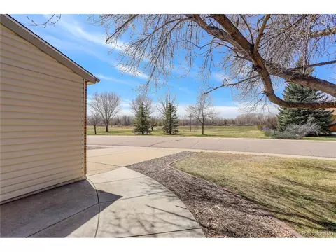 1049 Larch Dr, Windsor, CO 80550 photo 3