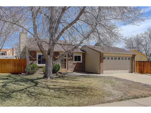 1049 Larch Dr, Windsor, CO 80550 photo 4