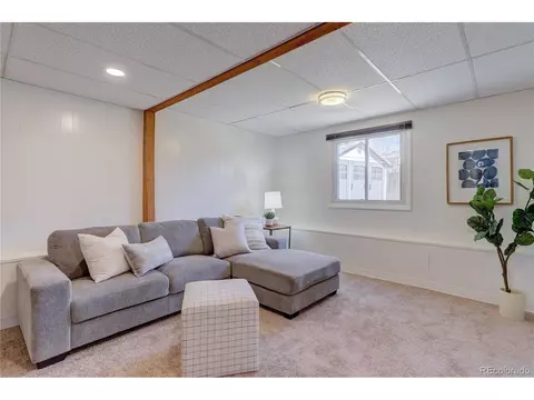 1049 Larch Dr, Windsor, CO 80550 photo 24
