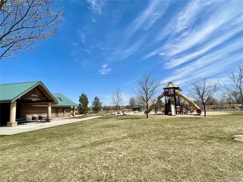1049 Larch Dr, Windsor, CO 80550 photo 38