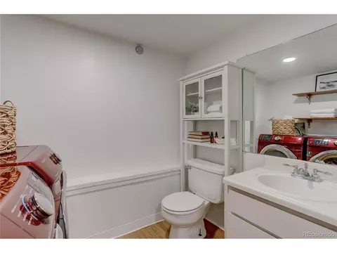 1049 Larch Dr, Windsor, CO 80550 photo 28