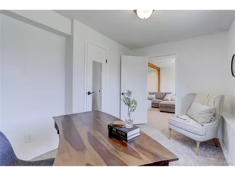 1049 Larch Dr, Windsor, CO 80550 photo 26
