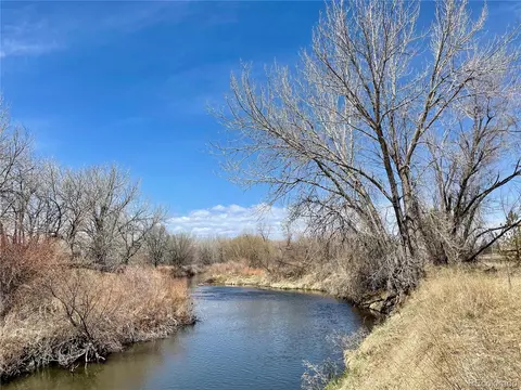 1049 Larch Dr, Windsor, CO 80550 photo 37