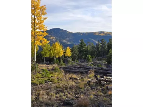 0 Frank C, Idaho Springs, CO 80452