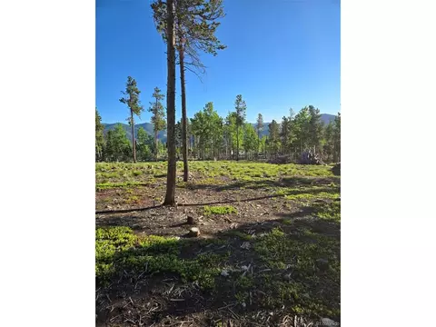 0 Frank C, Idaho Springs, CO 80452