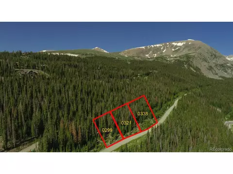 339 Cr 805, Breckenridge, CO 80424