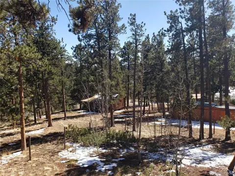 424 Sullivan St, Bailey, CO 80421 photo 6