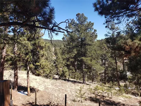 424 Sullivan St, Bailey, CO 80421 photo 7