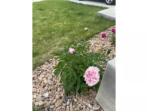636 Lene Ln, Berthoud, CO 80513 photo 24