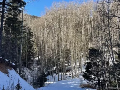 5252 Scott Rd, Fort Garland, CO 81133