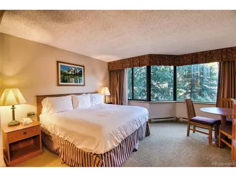 6 Emmons Rd #211, Crested Butte, CO 81224