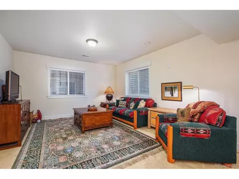 8771 E 29th Ave, Denver, CO 80238 photo 23