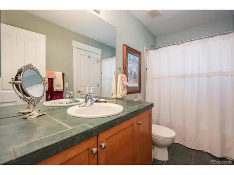 8771 E 29th Ave, Denver, CO 80238 photo 20