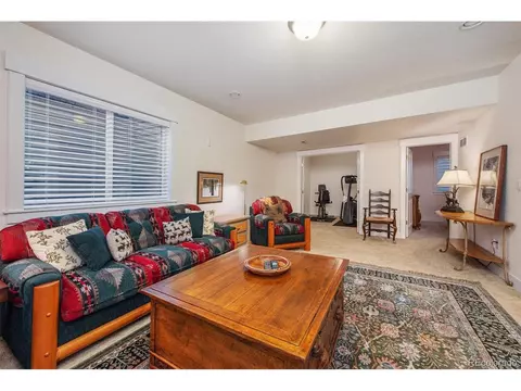 8771 E 29th Ave, Denver, CO 80238 photo 22
