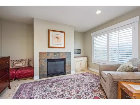 8771 E 29th Ave, Denver, CO 80238 photo 17