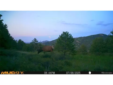 591599 Soul Shine Rd, Drake, CO 80515