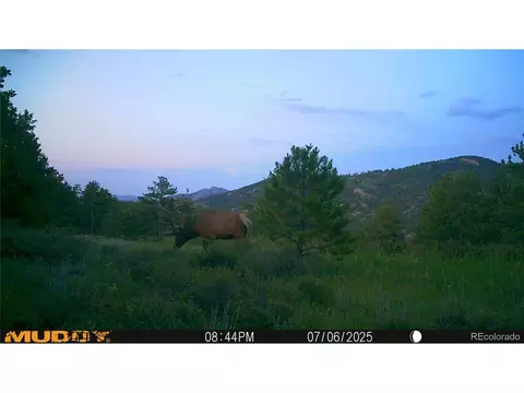 591599 Soul Shine Rd, Drake, CO 80515