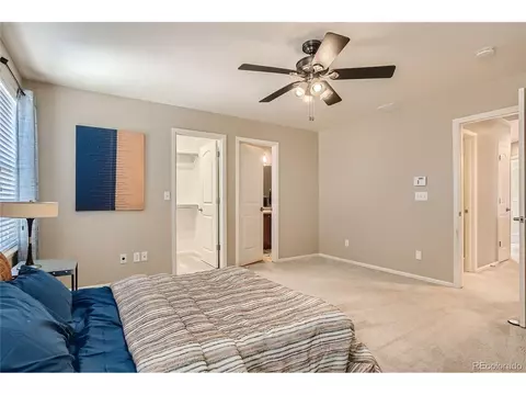 1644 Kelmsley Ct, Windsor, CO 80550 photo 14