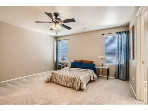 1644 Kelmsley Ct, Windsor, CO 80550 photo 12