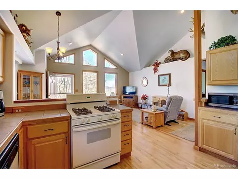 75 Snow Water Rd, Bailey, CO 80421 photo 8