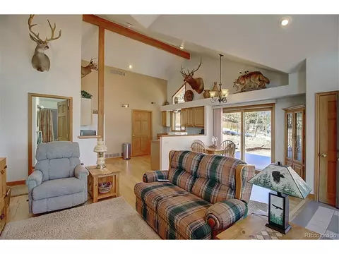 75 Snow Water Rd, Bailey, CO 80421 photo 14
