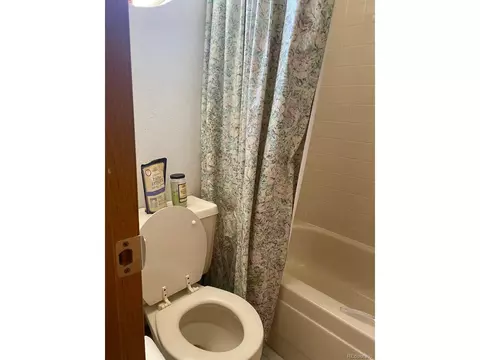 4725 Eugene Way, Denver, CO 80239 photo 12