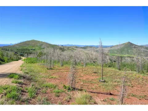 463 County Road 414, Granby, CO 80446 photo 3