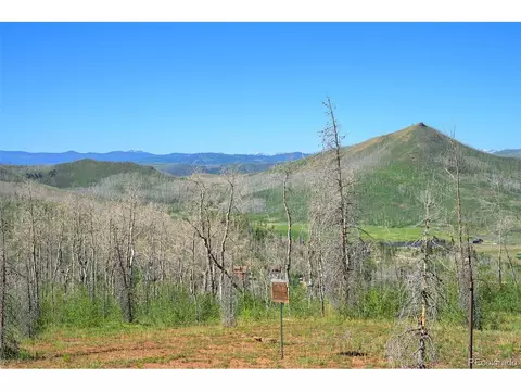 463 County Road 414, Granby, CO 80446 photo 31